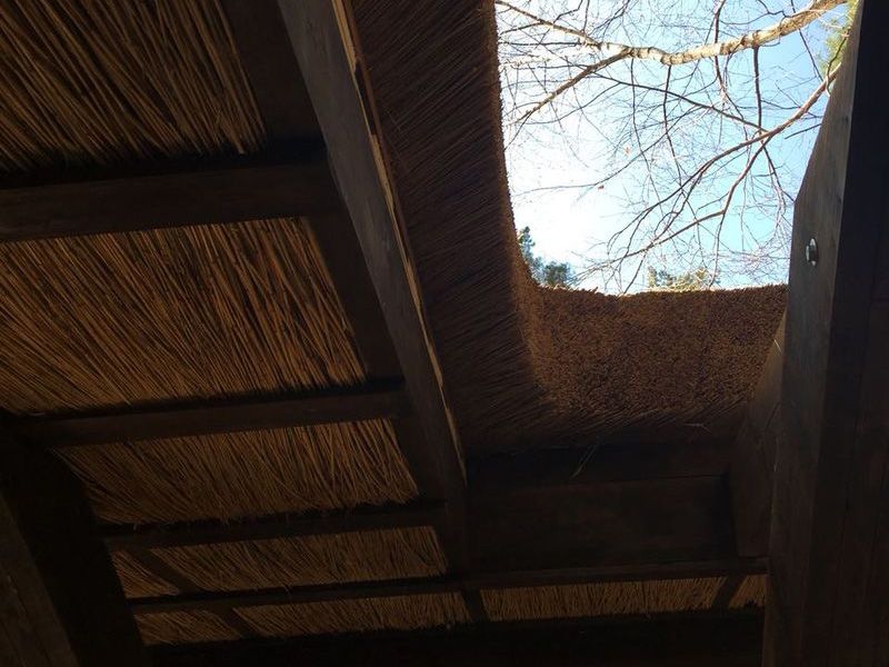 Терраса с камышовой крышей. МО, 2018 г.