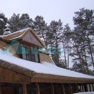 Жилой дом и хозяйственная постройка из камышовой крыши